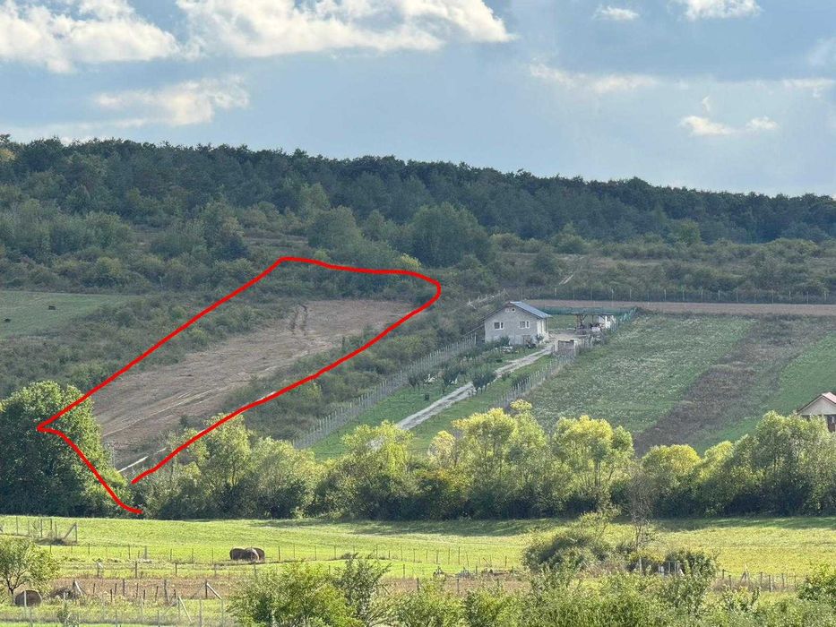 Teren Intravilan Felcheriu