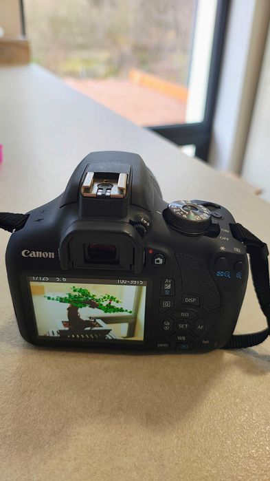 DSLR Canon EOS 2000D,24.1 MP, Negru + Obiectiv EF-S 18-55mm IS II