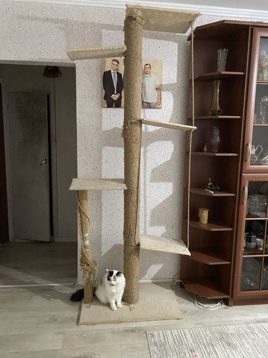 Большой домик-комплекс для кошек с когтеточками, многоуровневый 5