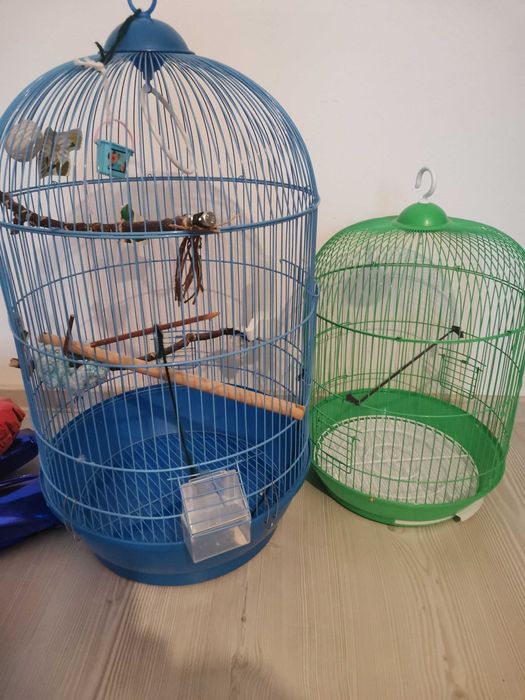 Colivii pentru perusi