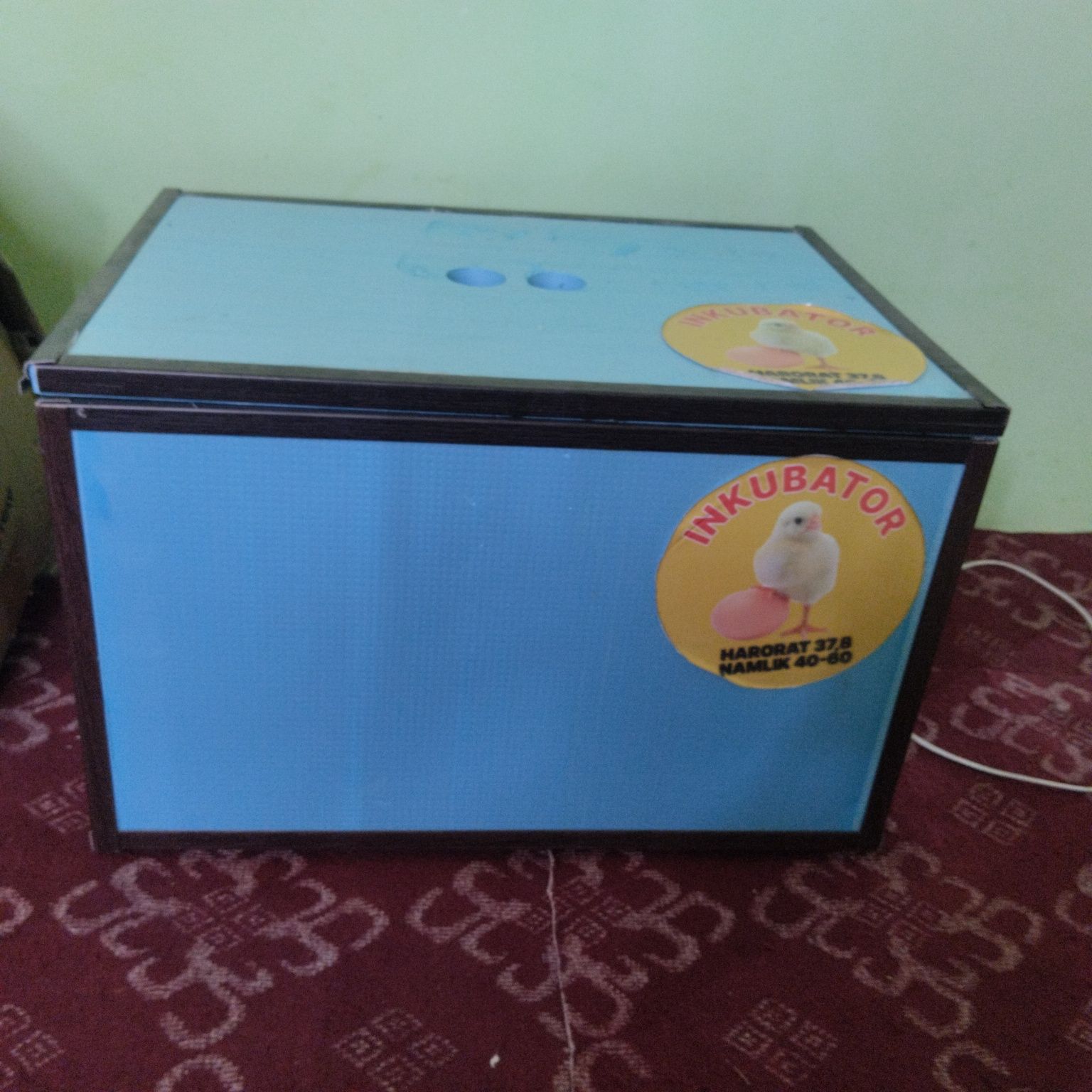 Unkubator yangi 88 talik