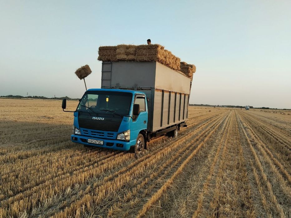 Isuzu sotiladi 2007 yil 20 ming