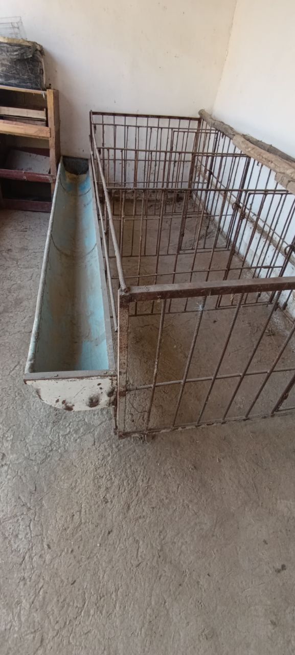 Куйхона клетка сотилади