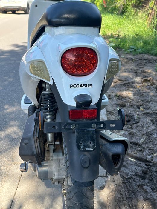 Pegasus p50 4 timpi