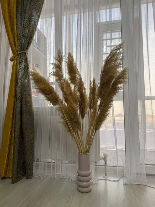 Декоративное растение «Пампасная трава»