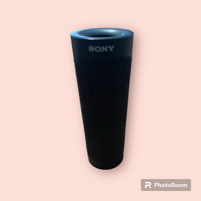 Sony boxa portabila