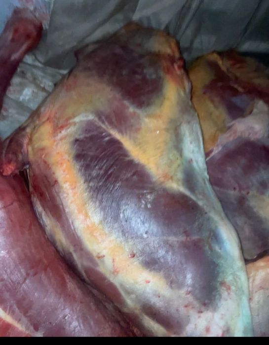 Продам мяса задний  ляжки конина по 3200 за кг