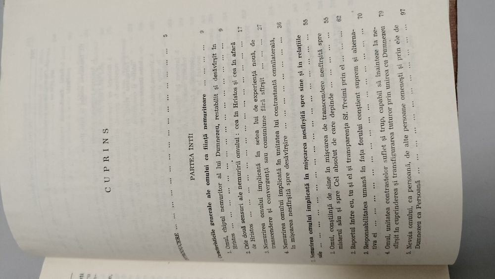 Chipul nemuritor al lui Dumnezeu, Dumitru Stăniloae