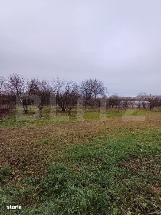 Teren Intravilan ideal pentru investitie, 2497mp, Turda