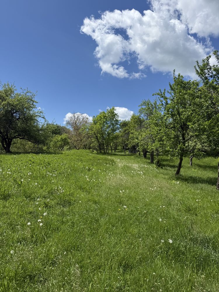 Teren extravilan Nucsoara