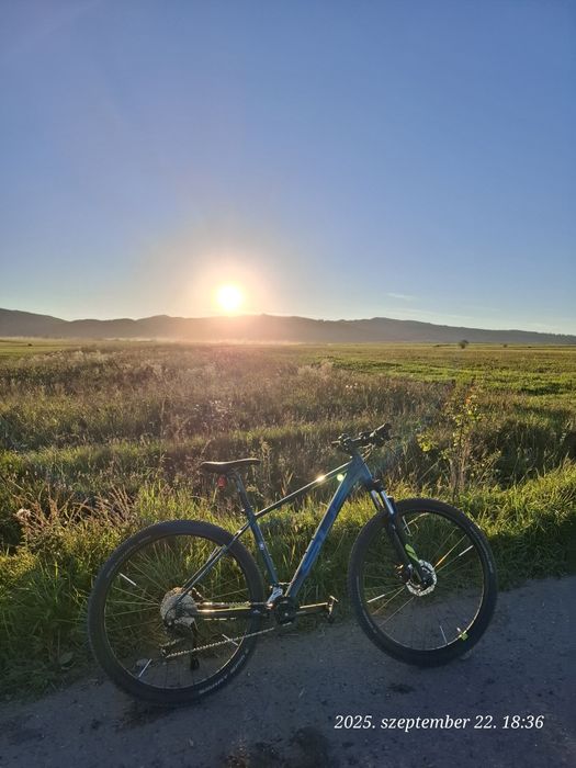 Bicicleta Superior XC 859 - 29"