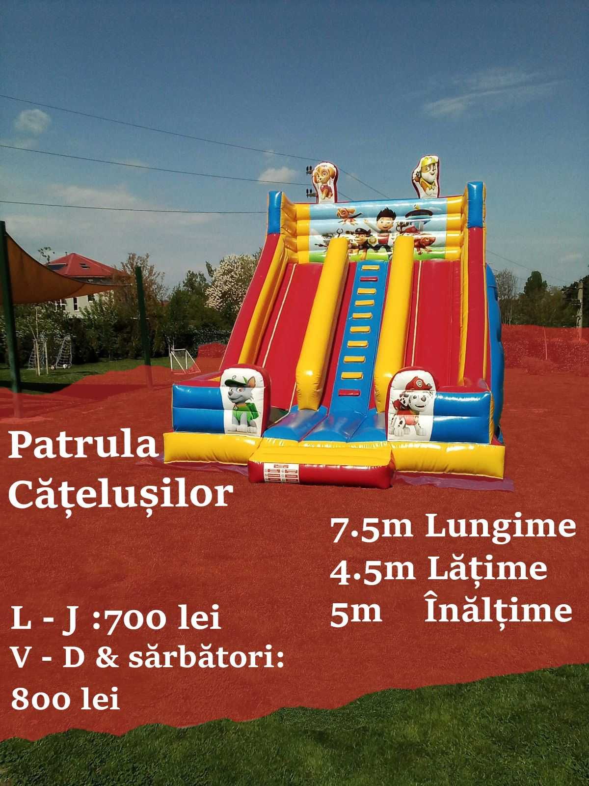 Tobogan gonflabil ° Castel gonflabil ° Animatori  Vată pe bat  mascote