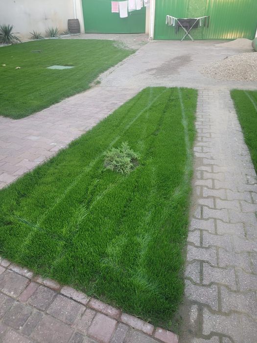 Întrețin spatii verzi, scarificat etc.