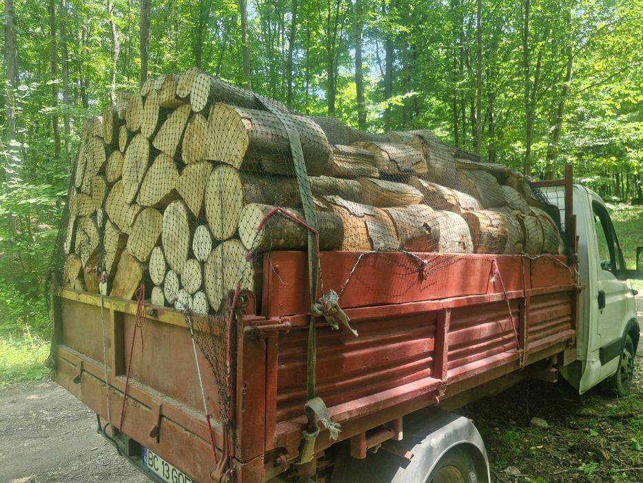 Lemn fag si bracuri fag