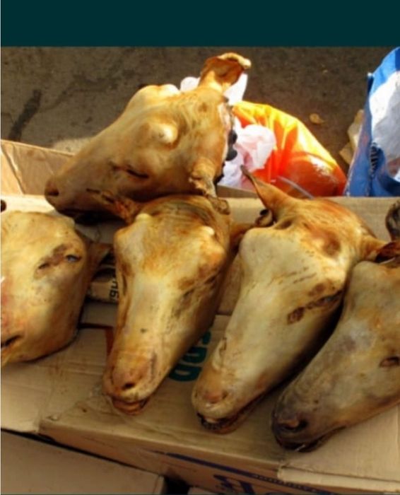 1000 ₸ Қойдын басы ұйытылған көп мөлшерде  доставка есть