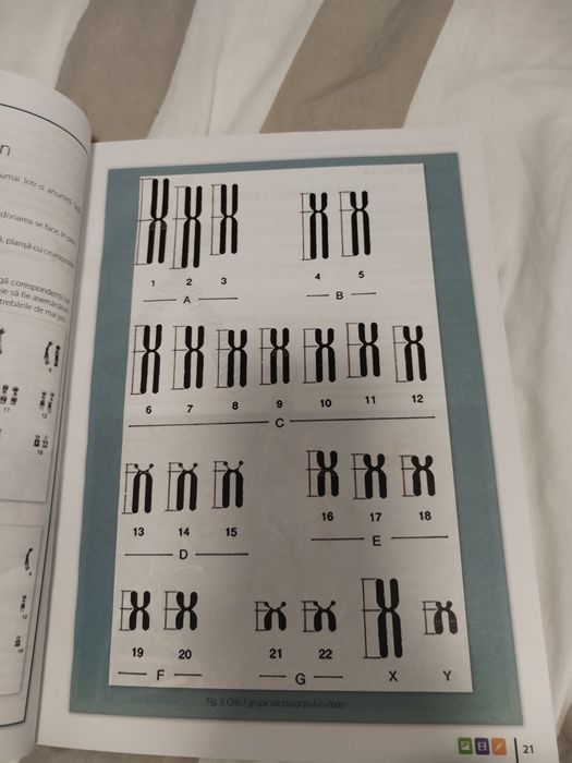 Manual de Biologie – Clasa a VIII-a (Editura CD PRESS)