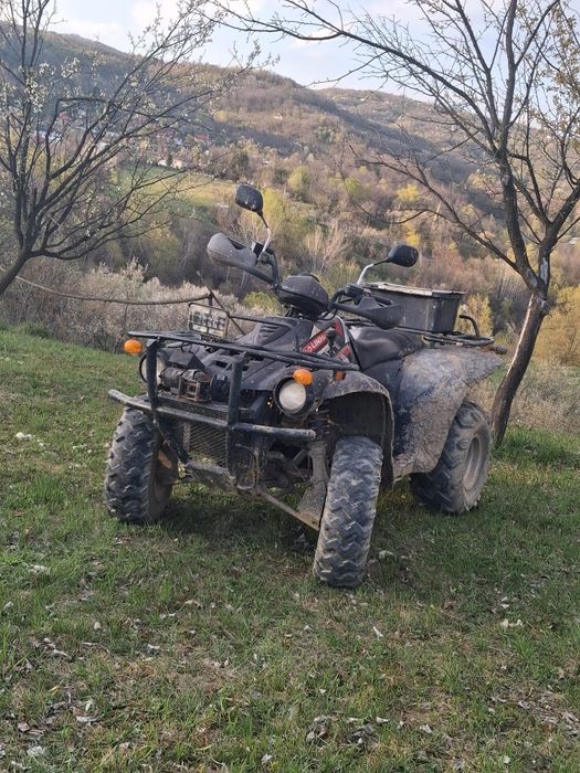Linhai de 300 2x4