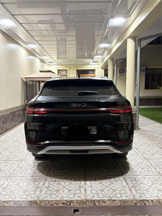 BYD CHAMPION Restaling 24/25