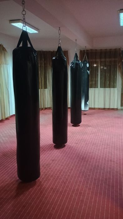 Vând saci de box noi