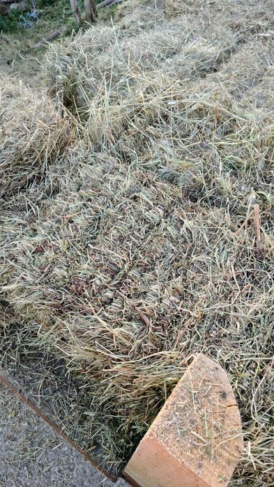 Baloți de otavă și fân