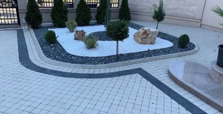 Plante decorative pentru un peisaj elegant și rafinat