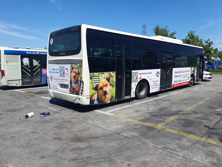 Servicii de colantare