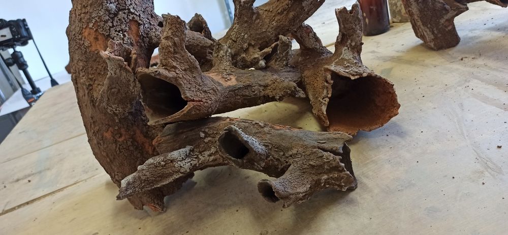 Amenajare acvarii și intretinere