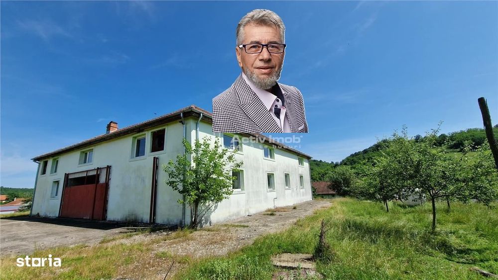 Farliug Casa sau Afacere 130 000 euro.