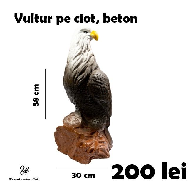 Vultur din beton