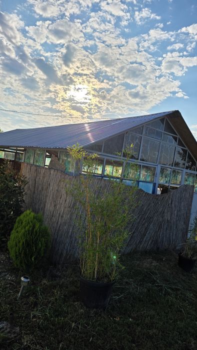 Vând seră 8/4 structura de fier si acoperișul nou