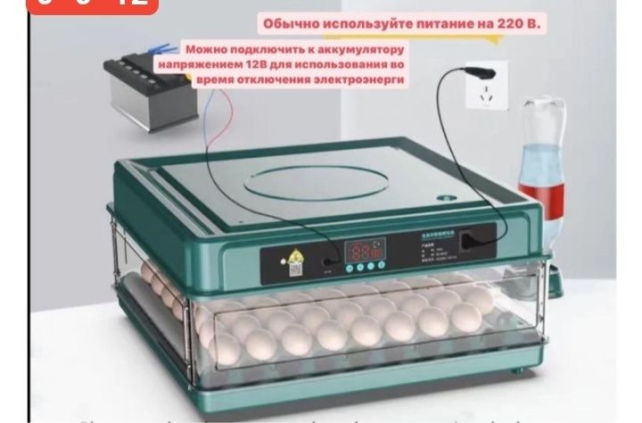 Инкубатор, сетка для перепелов