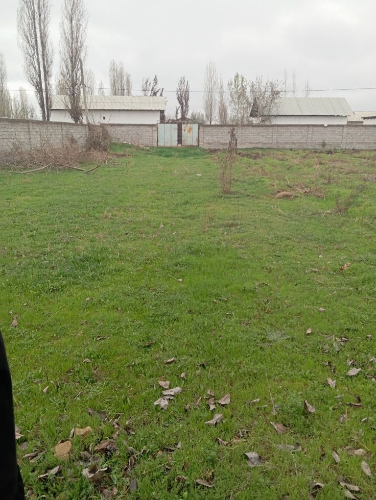 Той тепа Ер сотилади той тепа