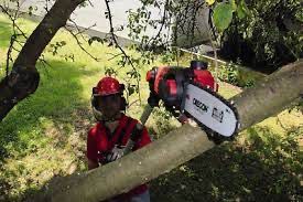 Ferestrau si trimmer Einhell Power-X-Change GE-HC 18 Li T ,sigilat