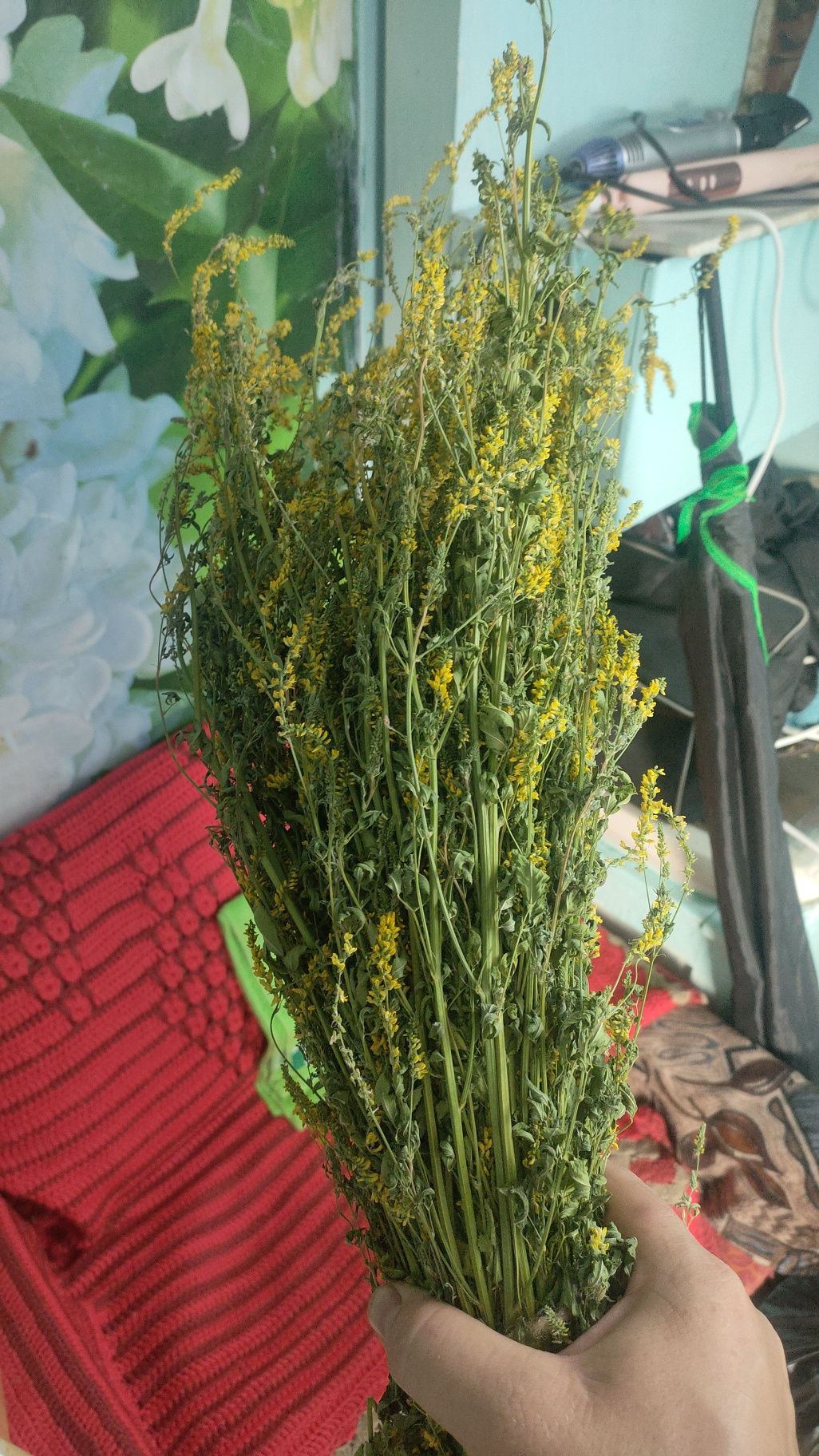 Веник из березы и доник