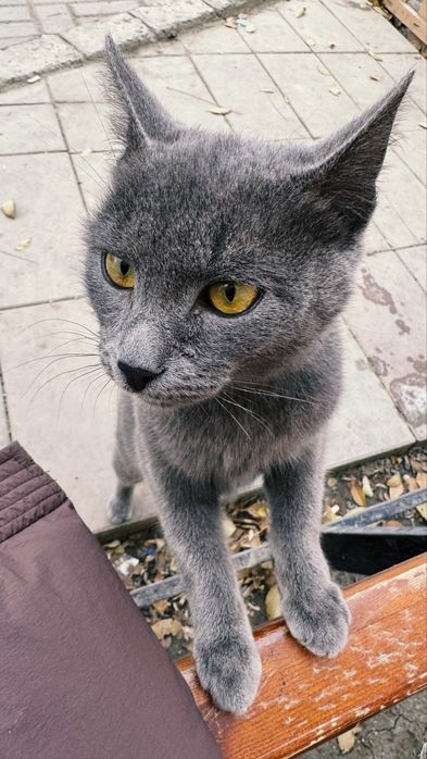 Мальчик красивый