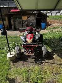 Atv pe lant 600 cm’3