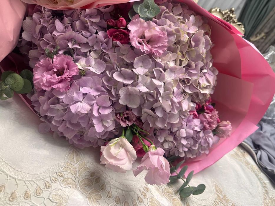 Продам все эти цветы цены разные
