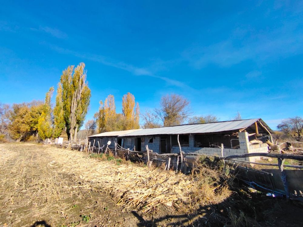 Продам дом в Талапты