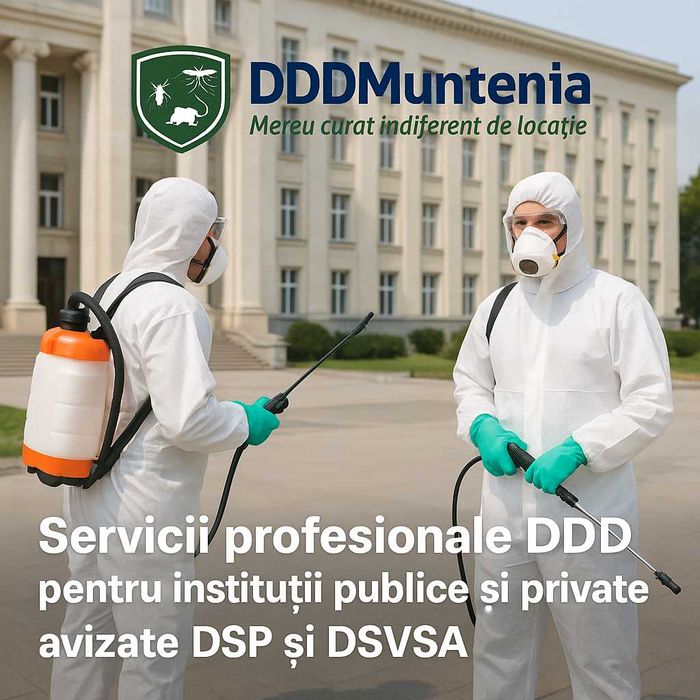 Servicii DDD pentru instituții publice – contracte și documentație