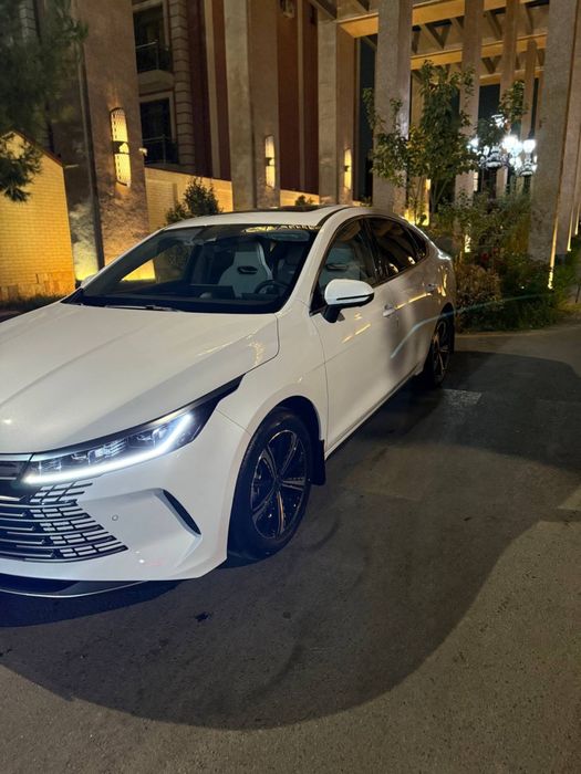 Chazor 120 km 4 pazitsa