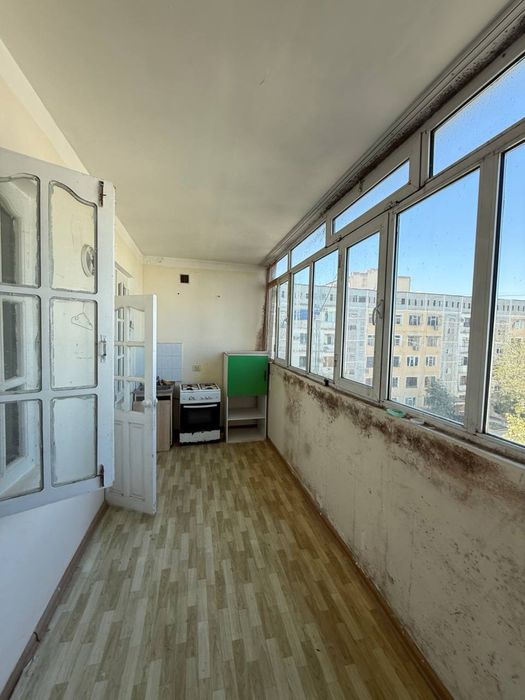 4 хонали сам коч ЖАСМИН