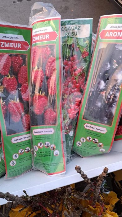 Vand pomi fructiferi ambalati