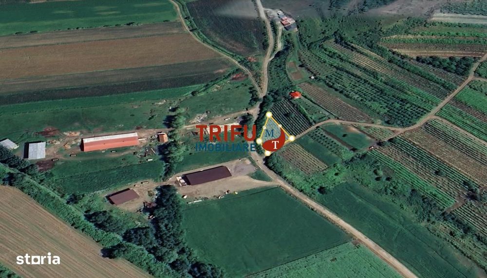 Teren 600 mp accesibil în Șard, zonă liniștită