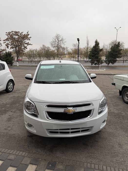 Cobalt GX Style MCM plus orginal 2026 masla