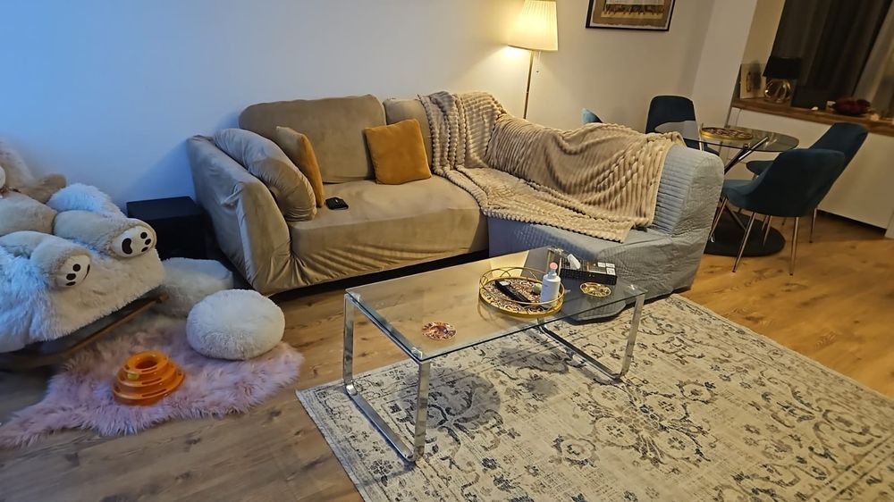 Fotoliu extensibil, Knisa gri
