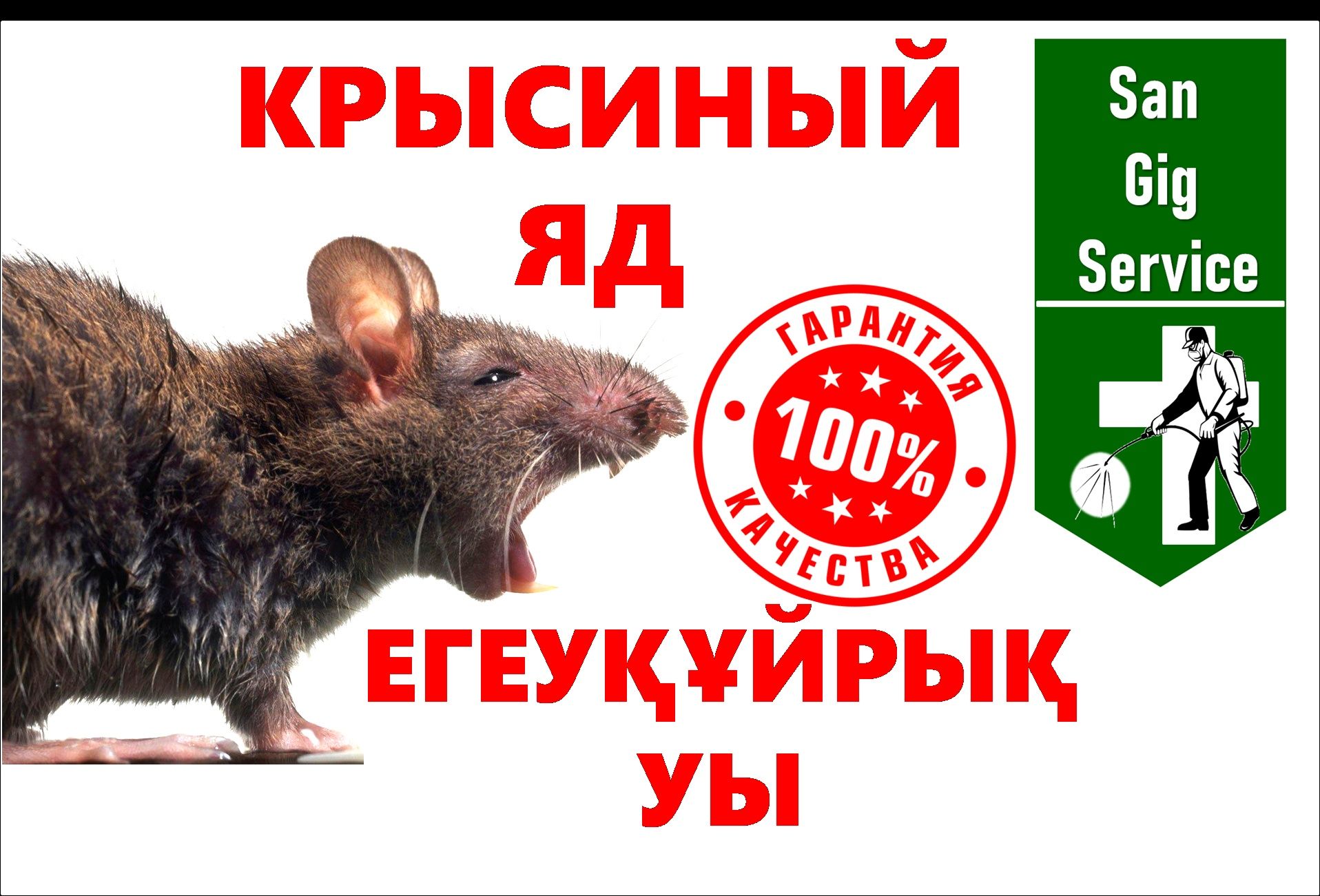 Уничтожение Грызунов Крысы Мышей,  крыса Семей,  мышь Семей