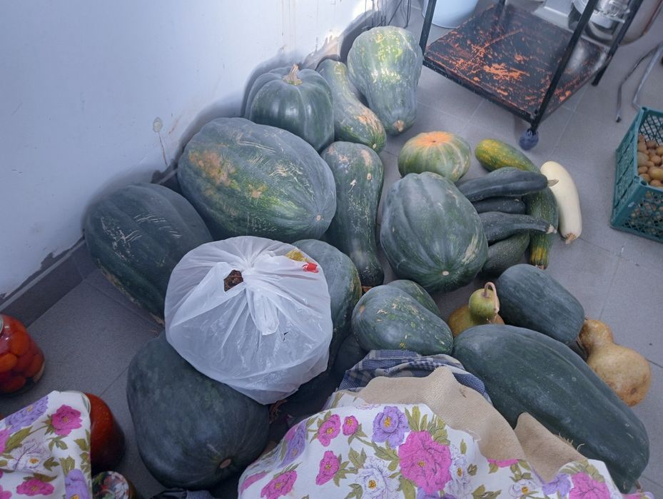 Продам сочную тыкву