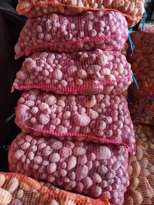 Vând cartofi pentru animale