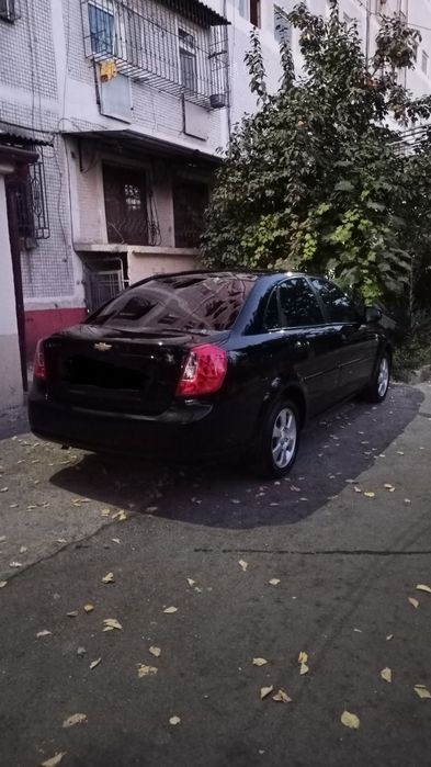 JENTRA 2023 Toza bez lyuk