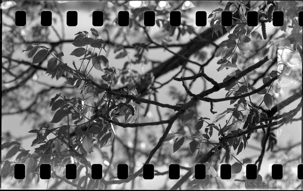 Adaptor film 35mm la aparat de fotografiat format mediu 120 (set)